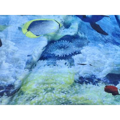 Embracing the Moby Dick Blanket